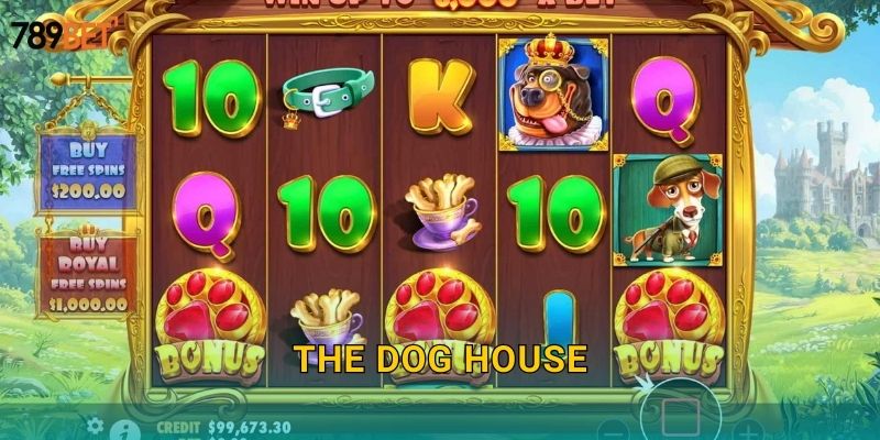 The Dog House 789bet sh - Nhà Của Những Chú Chó 22 The Dog House 789bet sh – Nhà Của Những Chú Chó