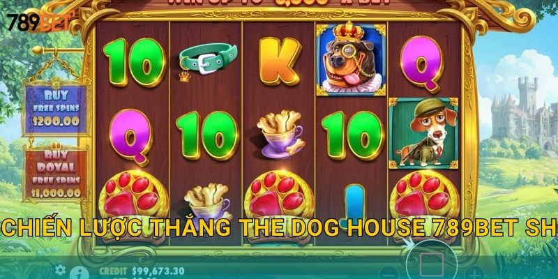 The Dog House 789bet sh - Nhà Của Những Chú Chó 3 Chiến lược thắng The Dog House 789bet sh