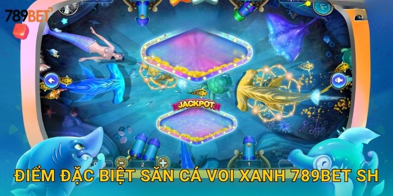 Điểm đặc biệt săn cá voi xanh 789bet sh